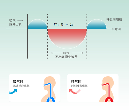 20230114142354167.png 640 (4).png